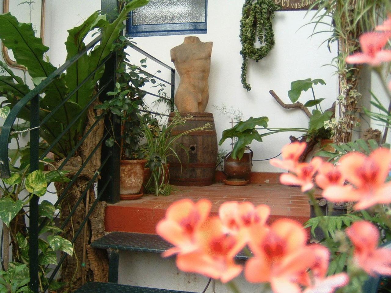 Hostal Residencia Catalina 팔라모스 외부 사진